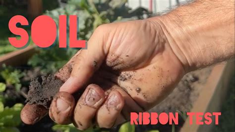 soil bottle test|soil ribbon testing.